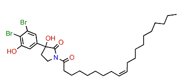 Convolutamide F